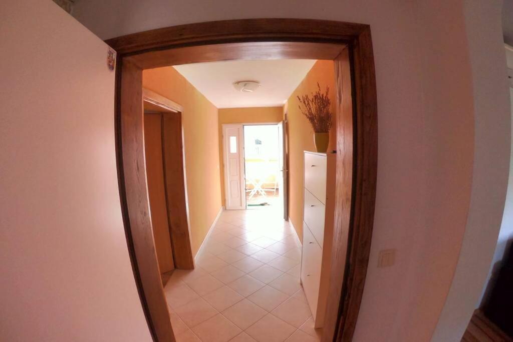 Comfortable Apartment Near Pula Marčana Εξωτερικό φωτογραφία
