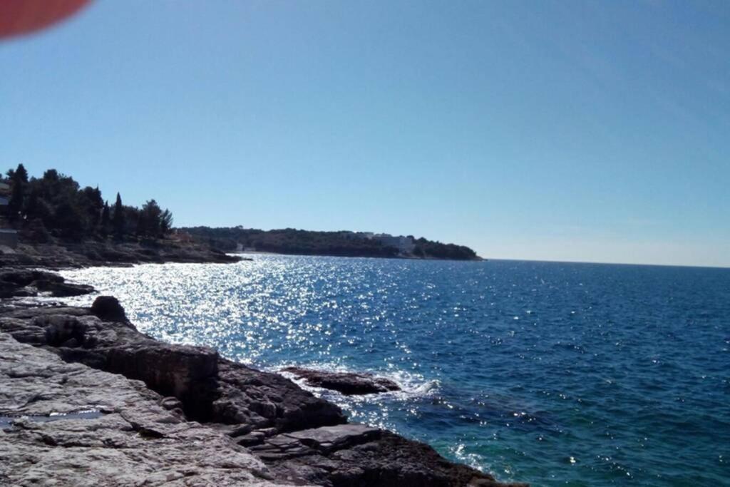 Comfortable Apartment Near Pula Marčana Εξωτερικό φωτογραφία